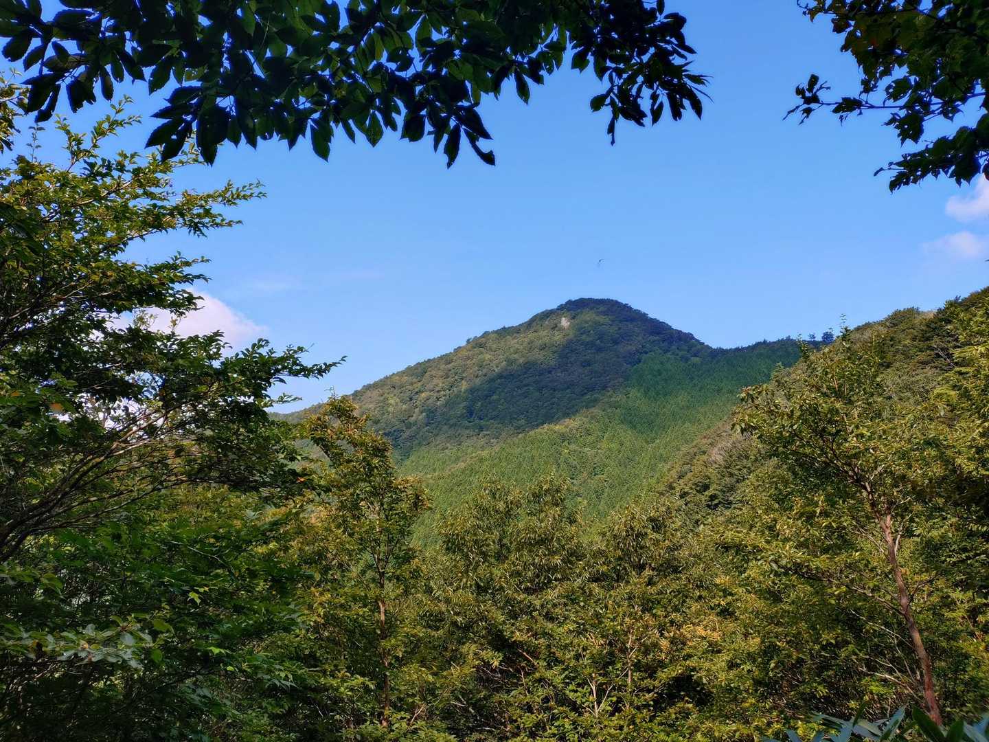 莇ヶ岳 周回コースの写真