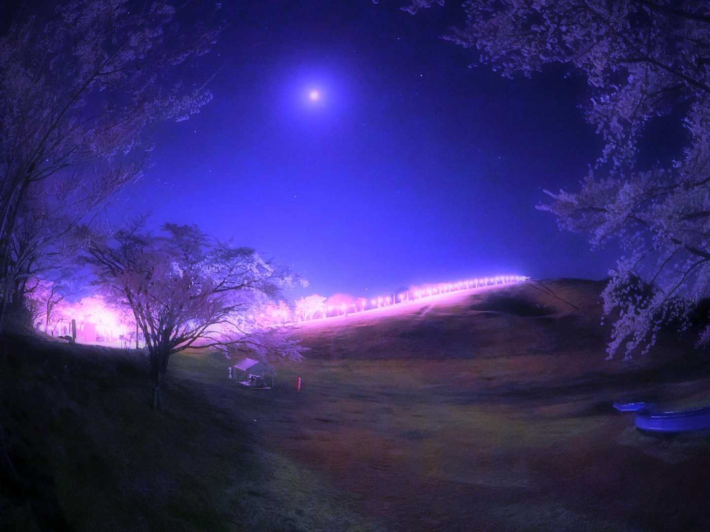 加護坊山 往復コースの写真