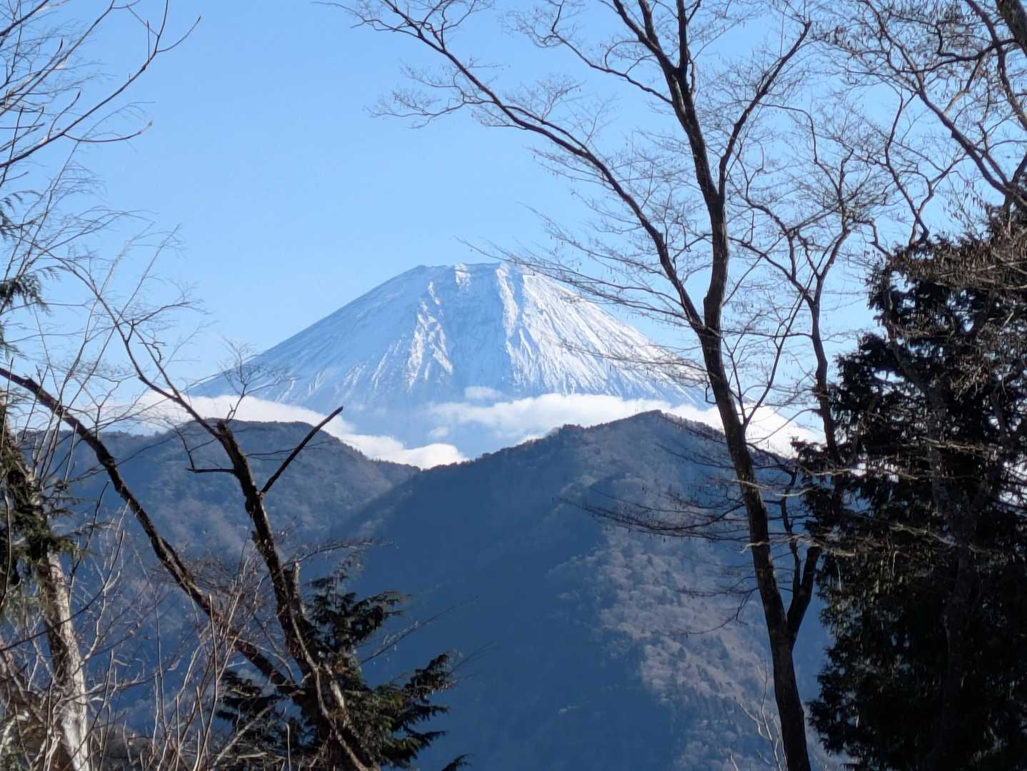 富士山は天子山地か邪魔して上のみ😩