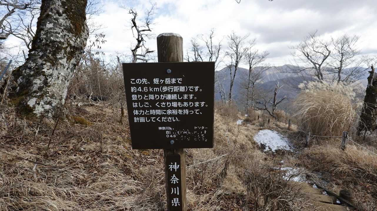 丹沢主脈縦走（檜洞丸•蛭ヶ岳•丹沢山•塔ノ岳•鍋割山） の写真 11