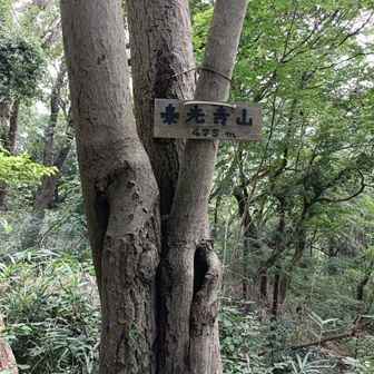 登頂！