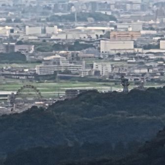 モンパルの観覧車🎡🐒