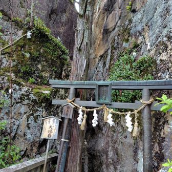 太郎坊宮に着いた
夫婦岩の間を通ります
