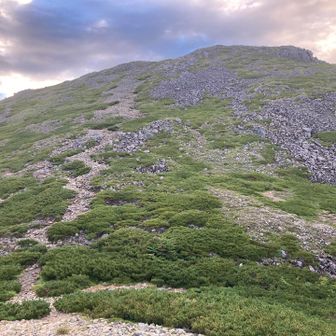 上河内岳山頂へ