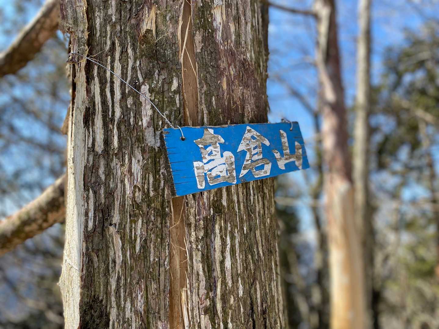 はい
山頂