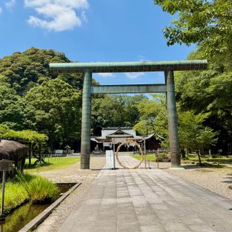 鳥居⛩️