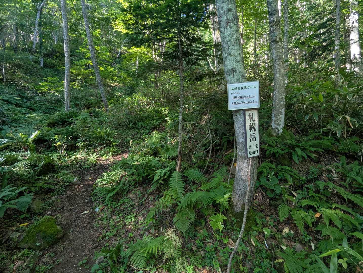 林道終わり本格的登山道へ