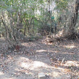 汐鳴山山頂　標高305m