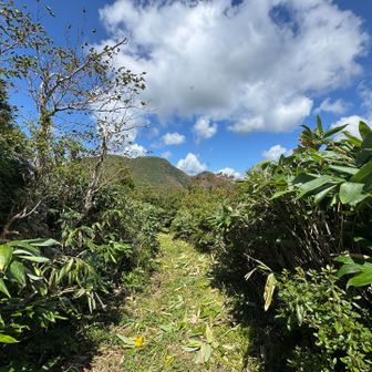 草が広めに刈られてます🌱