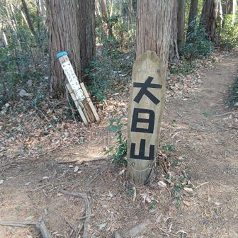 ④大日山