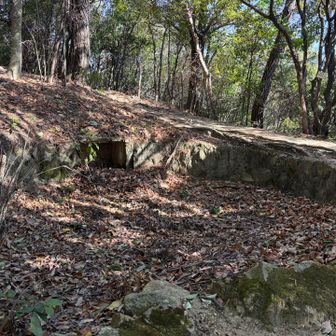 これだね。
そして、ここから下ると、、、