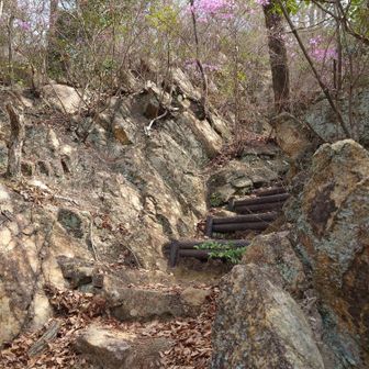 銀水橋から北山ハイキングコースへ
