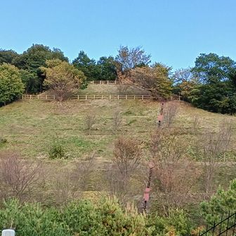 調整池側から見た、坂崎展望台。ライトがあれば夜でもあそこまで行けるでしょう。