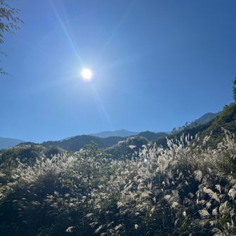 最高の天気のままゴール