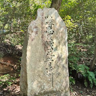 忠臣戦士者碑の建つ場所が登山口になっていました
一旦車道へ出てしばし歩く🚶