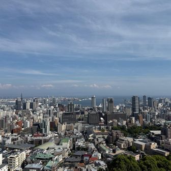 ビーナスブリッジからの眺望