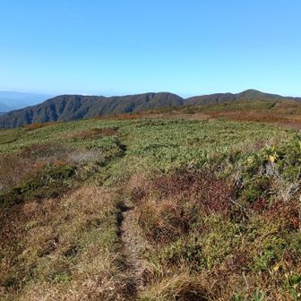 振り返って部子山方面もいい