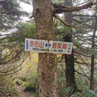 ぐんま県境稜線トレイル