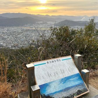 朝日を浴びて☀️