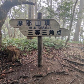 四か月ぶりなぁ摩耶山。
嬉しすぎて、顔をみるなり、足の裏見せるなぁと！！