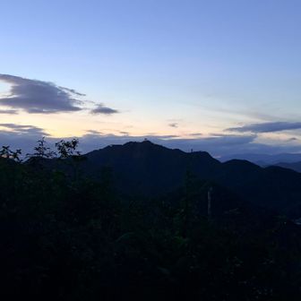中央に金華山