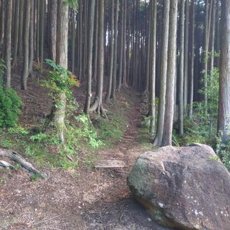 まずは白糸の滝に向かいます🚶‍➡️