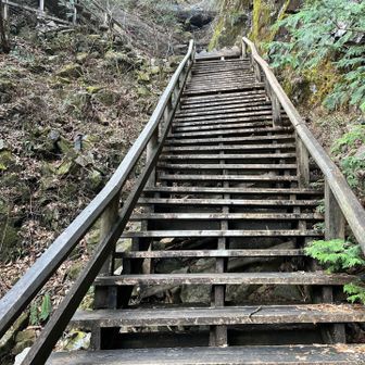 二の谷前半はこれです。階段は疲れる😓