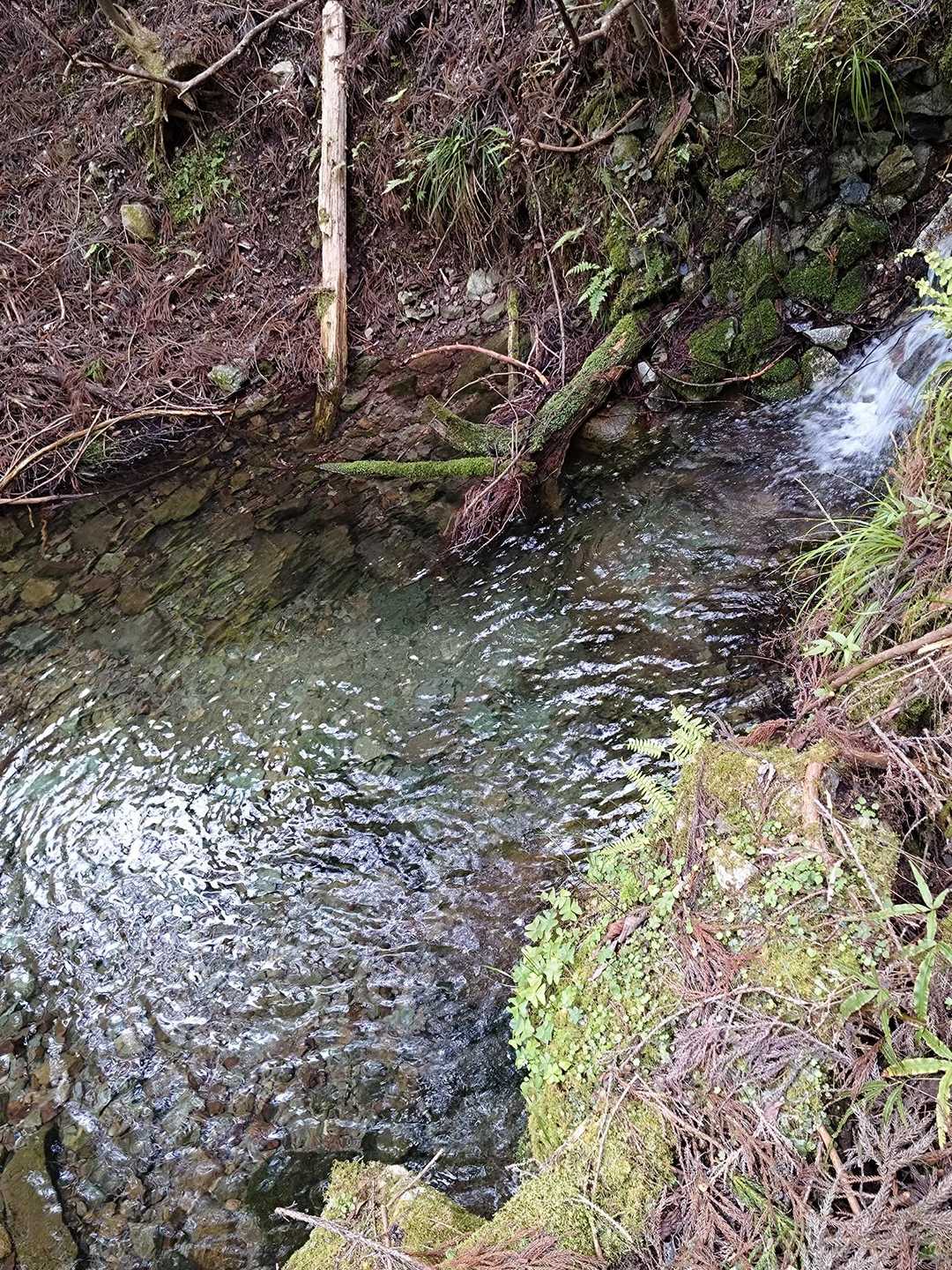 夏だと飛び込みたいぐらい綺麗✨