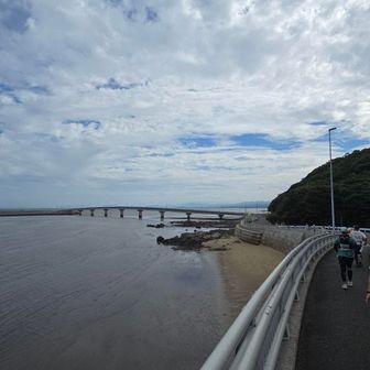 橋が見えた
普通は出したことない、８分代で最初は飛ばしてます😆