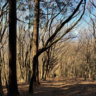 広いとこに出てきたが、、