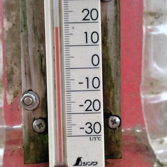 今日の階上岳頂上気温は18℃で少し風もあり、涼しくていいわー😌