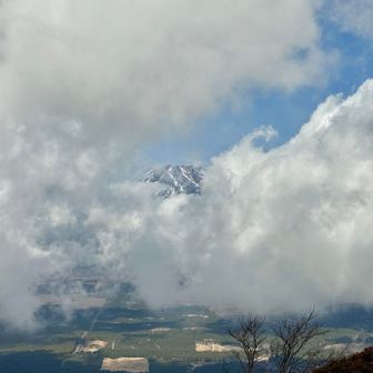 振り返って、あーちょっと見えた！と喜ぶ😃