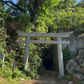 で、ここから登りスタートです。