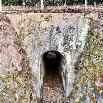 JR高山本線をくぐってスタート