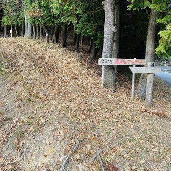 嘉穂峠の登山口。ここまで15km。ここから、車回収の為、秋月まで18kmの舗装路歩き（国道500号線）。親切な地元の方に「送りましょうか？」とお声がけ頂くが、丁重にお断りして、、、