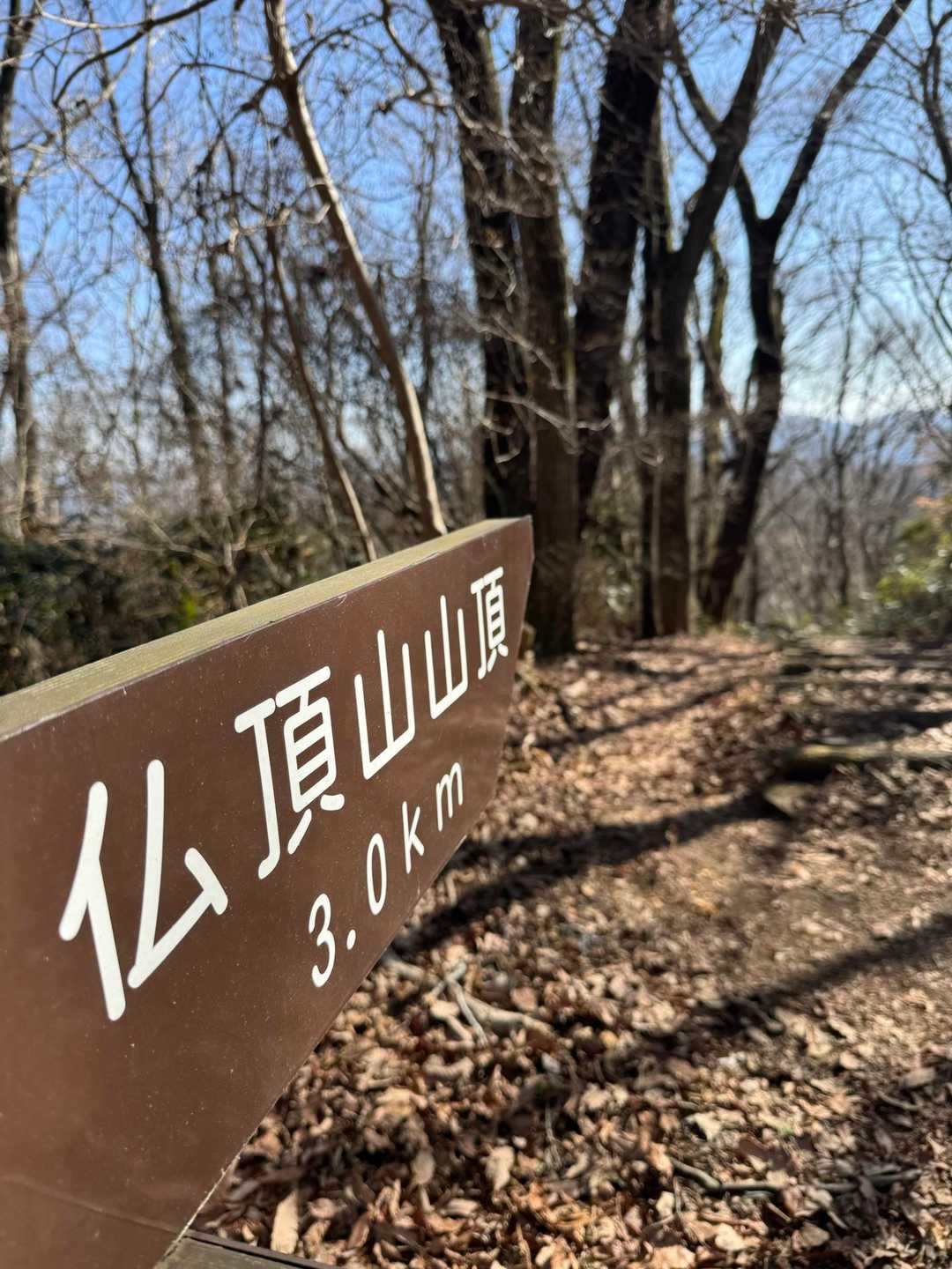 下山します