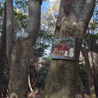 今日は熊🐻スプレー要らない