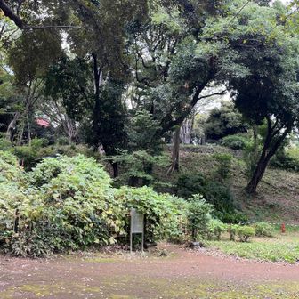 芝丸山古墳(＝芝丸山)全体