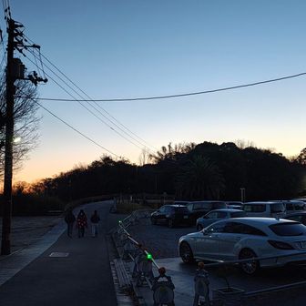 駐車場はいっぱい。登り坂も車いっぱいで動きません。