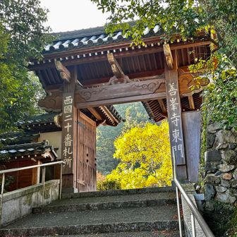 紅葉眺めているうちに到着