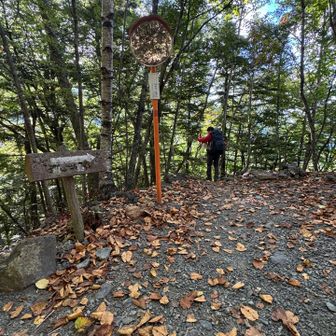 カーブミラー脇から、また下山道へ