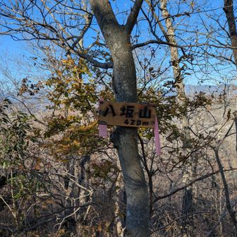 見つけにくかった