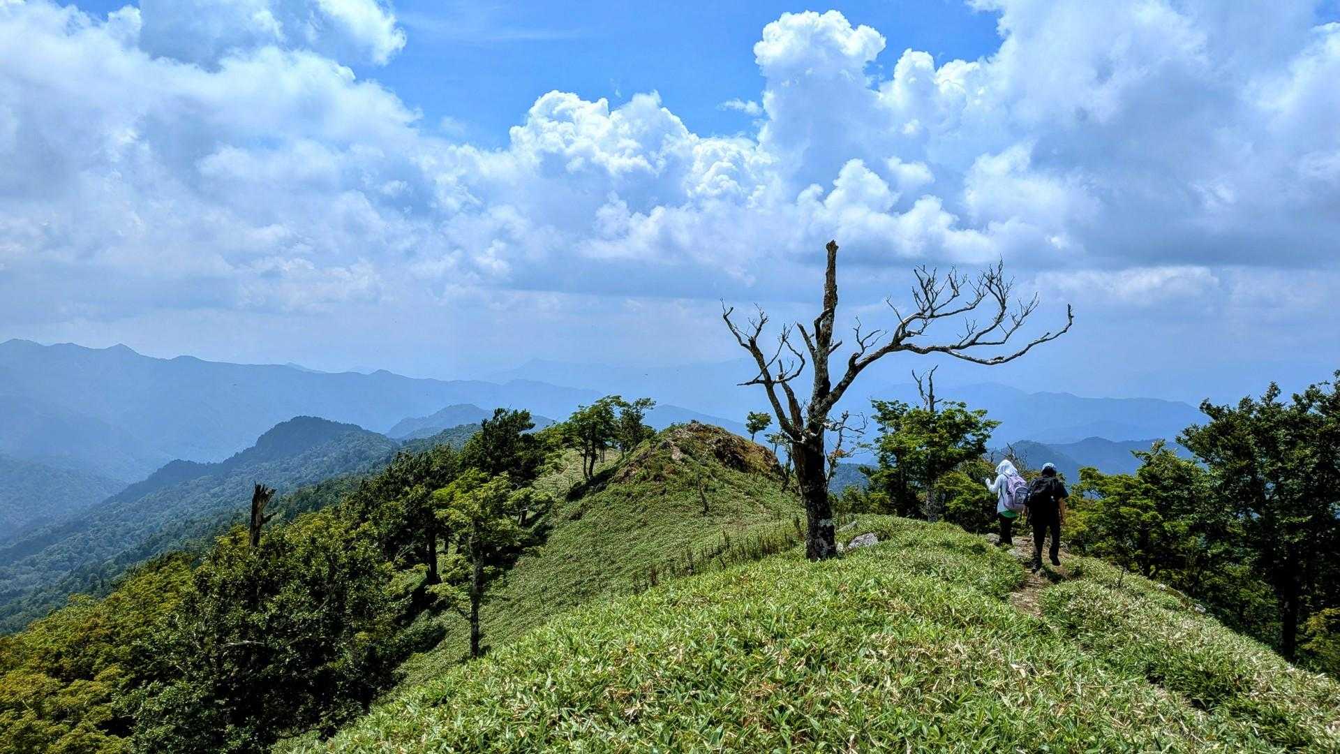 太尾登山口-古田ノ森-千丈平-釈迦ヶ岳 往復コースの写真
