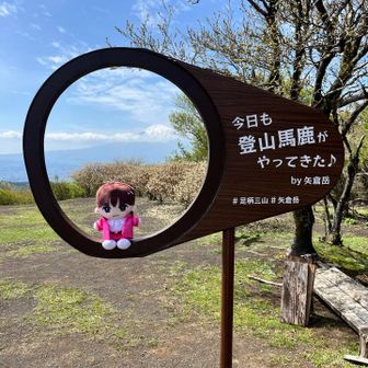 なみだるむ🐯