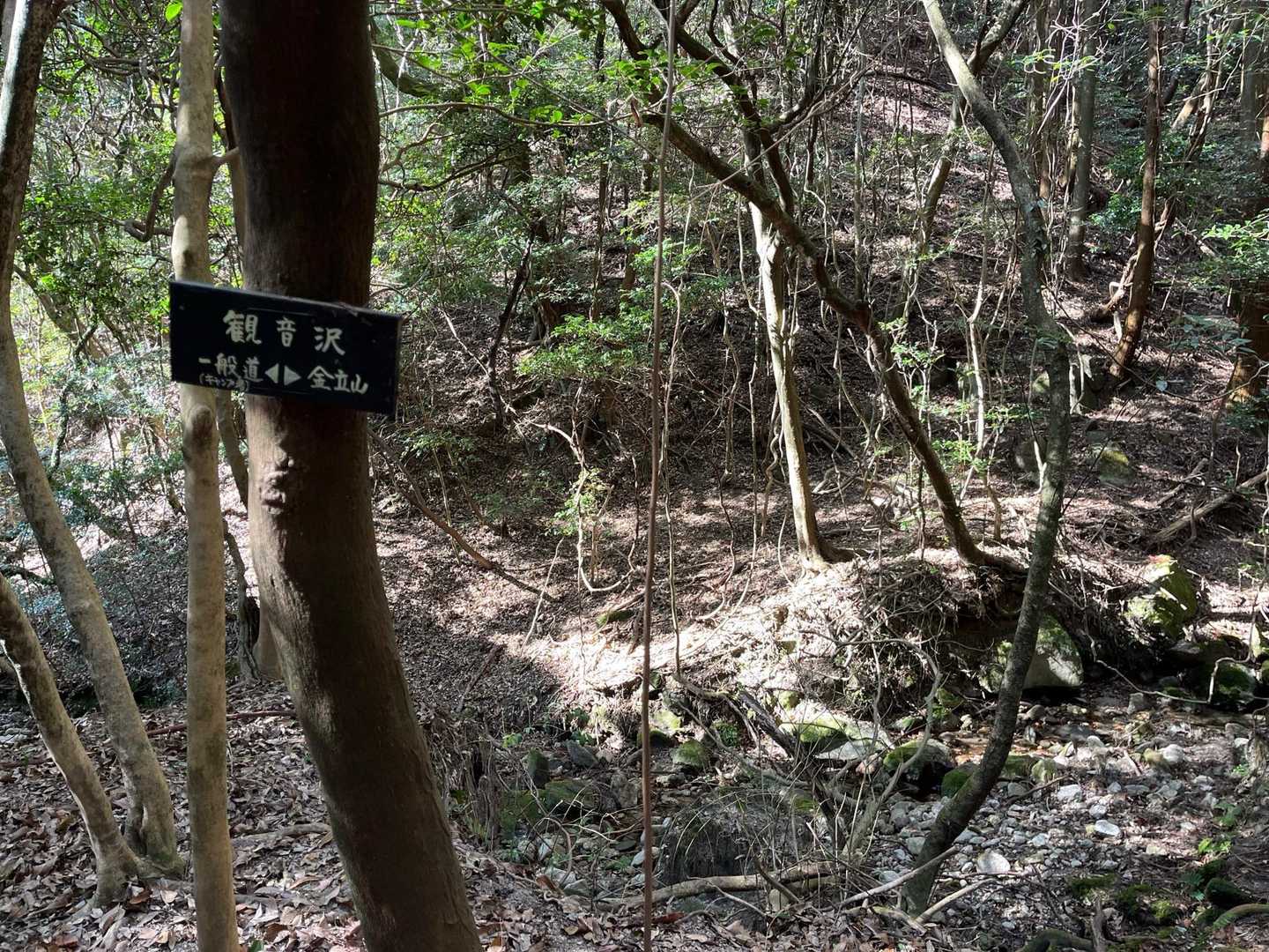 正現岳-金立山 周回コースの写真