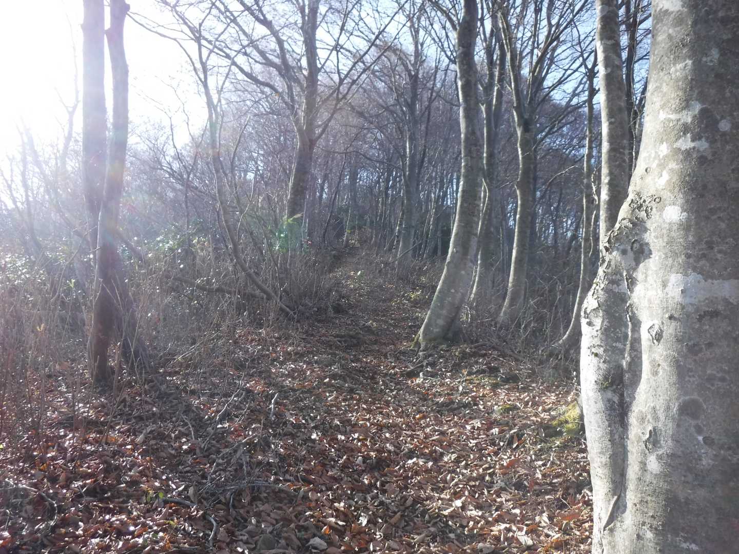 山頂直下ほ少し急登💦
