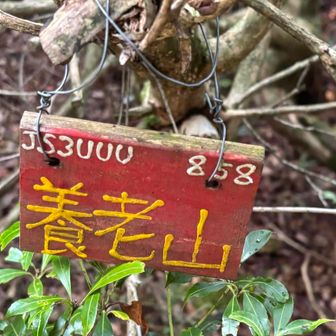 養老山