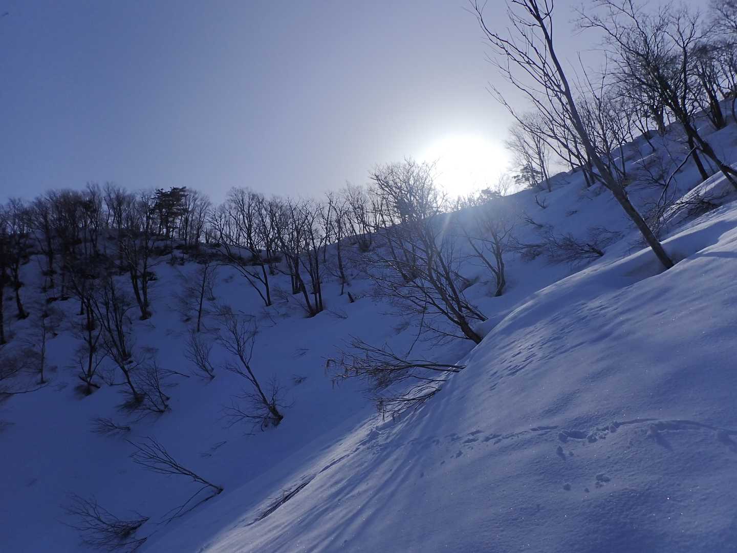 中部北陸自然歩道登山口-南保富士-二王山 往復コースの写真