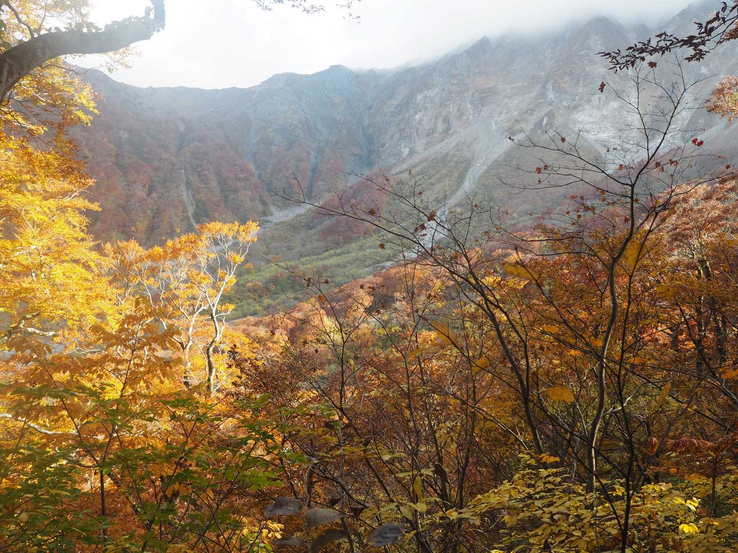 行者登山口-大山夏山登山口 周回コースの写真