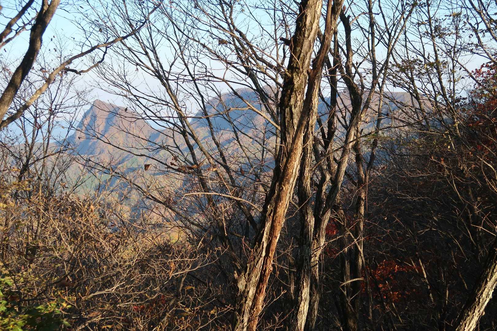 左に角落山(つのおちやま)